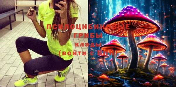 дмт Алексин
