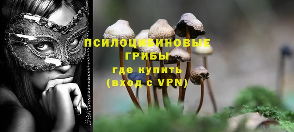 СК Козельск