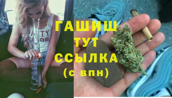 сатива Алзамай