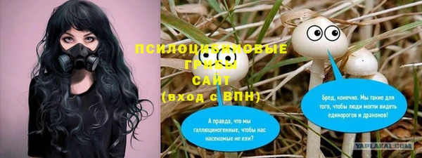 амф Алексеевка