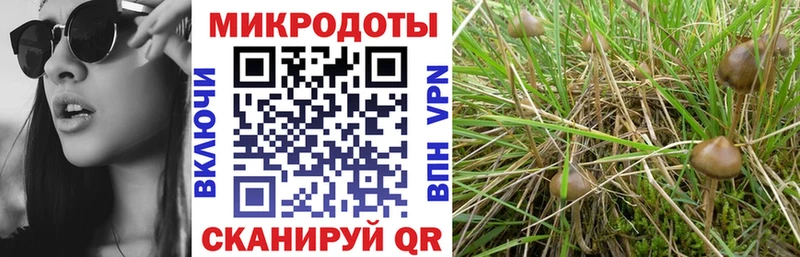 наркошоп  kraken маркетплейс  Галлюциногенные грибы прущие грибы  Орехово-Зуево 